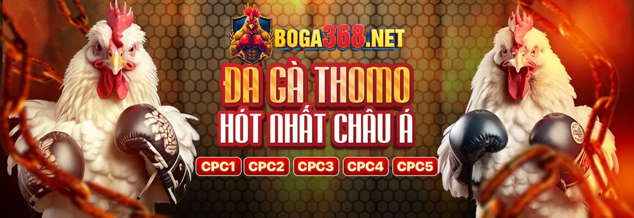 Hoàn Trả Hàng Ngày/Tuần Suwin Casino