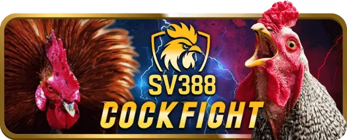Dịch vụ hỗ trợ khách hàng chuyên nghiệp 24/7 tại suwin casino